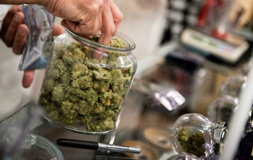 Legge di bilancio, anche la cannabis si avvicina al monopolio