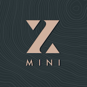 Salute Z Mini (300 x 250)